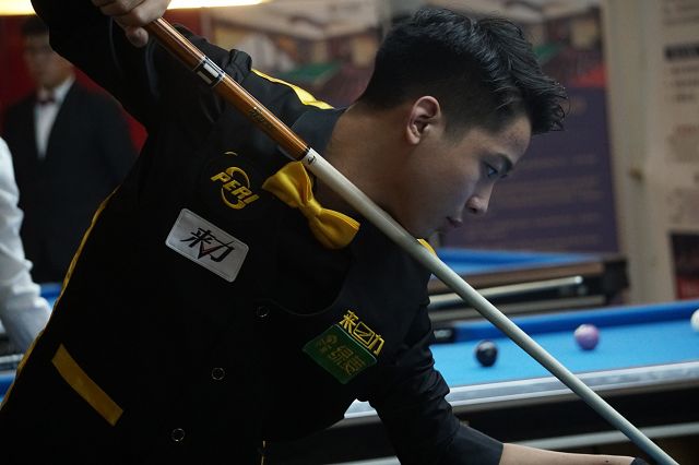 广州蒲公英 广州蒲公英