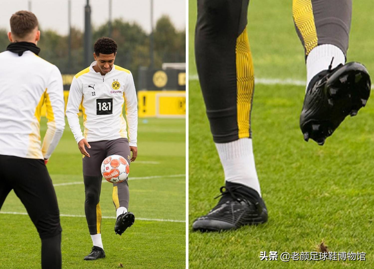 术问题需要 术问题需要